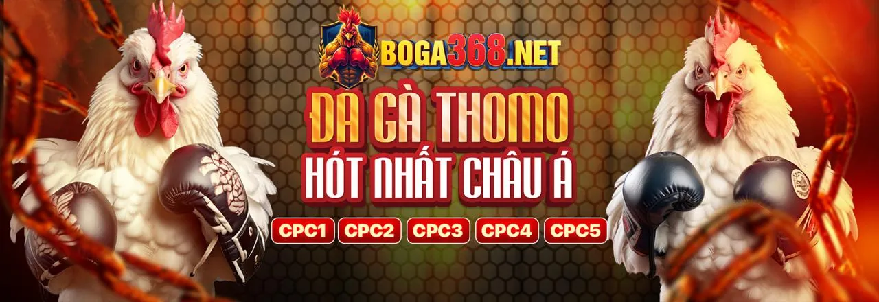 Tải Ứng Dụng 79king1 Link Mới